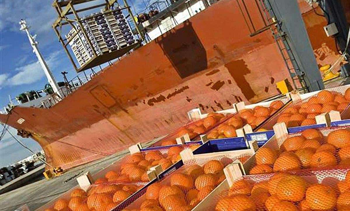 Las importaciones hortofrutícolas españolas crecen un 14% en enero con Marruecos como principal proveedor