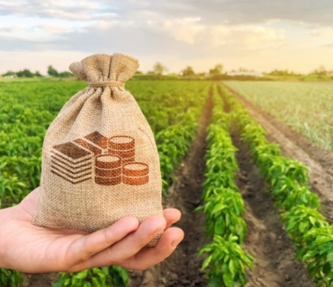 La morosidad de la actividad agroalimentaria fue de solo un 5% del crédito «vivo” total en 2019