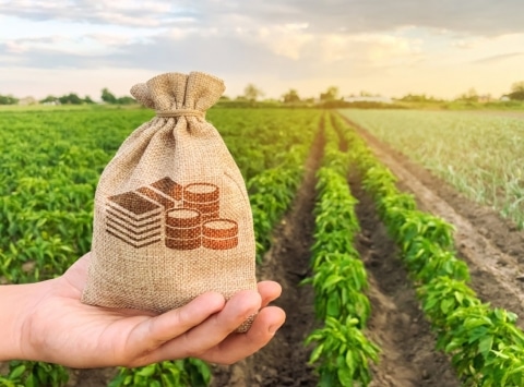 La morosidad de la actividad agroalimentaria fue de solo un 5% del crédito «vivo” total en 2019