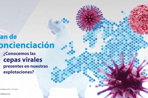 Ceva Salud Animal prepara un mapa epidemiológico europeo para avicultura