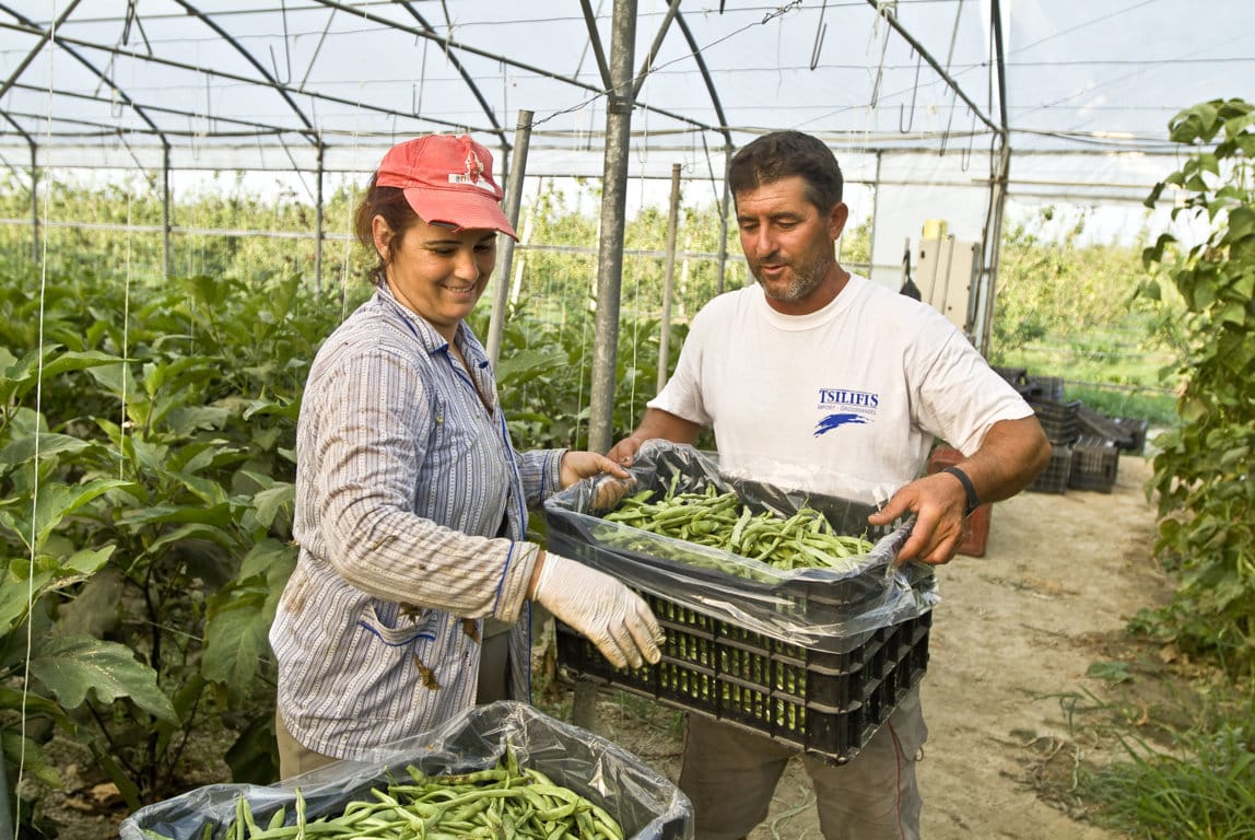 La CE aplaza un año la entrada en vigor de la nueva legislación ecológica