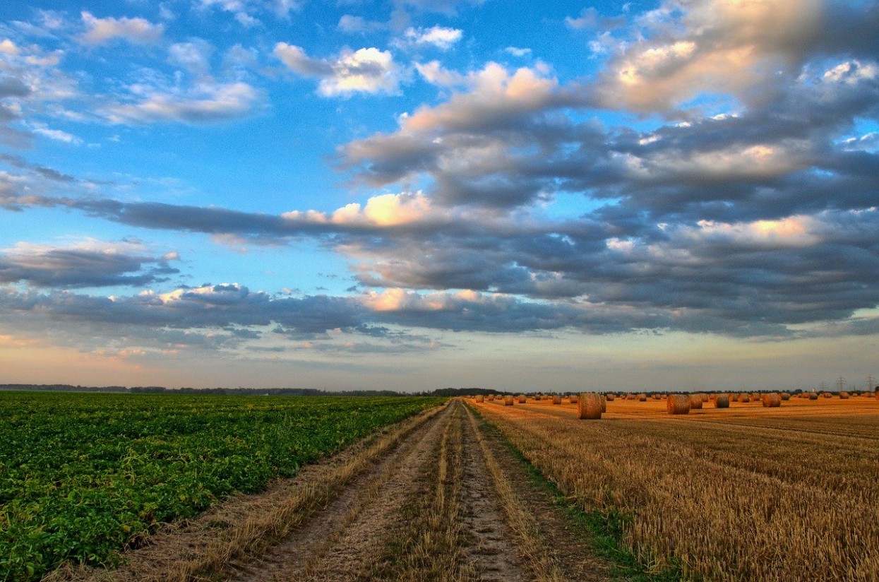 El agro empezará a recibir unos 3.420 M€ de anticipo de ayudas PAC 2020 desde el próximo 16 de octubre