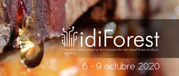 Sector forestal: Cesefor organiza el evento online idiForest