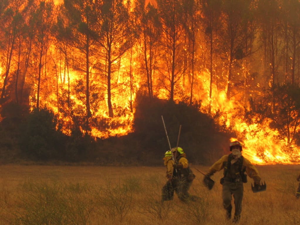 Balance incendios: un 21% menos de superficie forestal quemada en esta campaña