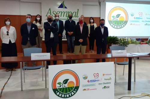 Nace AGRINTAL, Asociación de Empresas Agroalimentarias de Agricultura Intensiva al Aire Libre de Almería