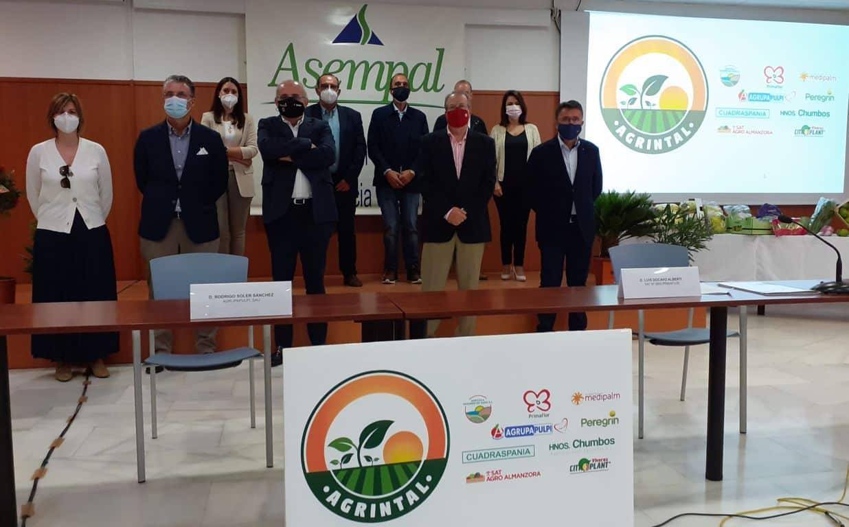 Nace AGRINTAL, Asociación de Empresas Agroalimentarias de Agricultura Intensiva al Aire Libre de Almería