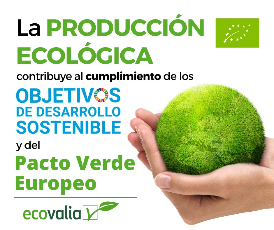 Ecovalia pone en valor el papel de la producción ecológica en la Agenda 2030