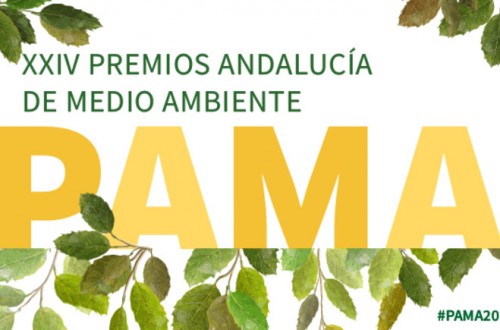 AlgaEnergy galardonado con el Premio Medio Ambiente 2020 de la Junta de Andalucía
