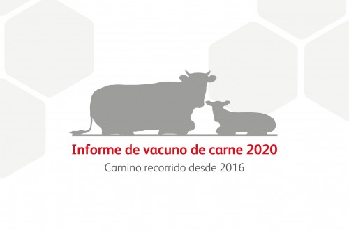 Nanta publica el informe “Vacuno de carne: Camino recorrido desde 2016”
