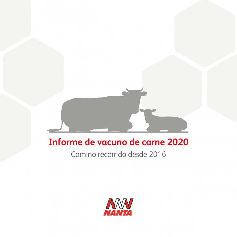 Nanta publica el informe “Vacuno de carne: Camino recorrido desde 2016”