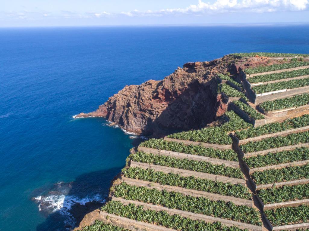 Una semana muy importante para la agricultura de las Islas Canarias, por Asprocan