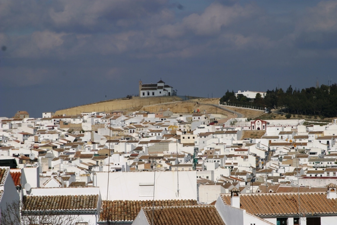 Organizaciones agrarias y cooperativas andaluzas piden que no haya modificaciones en el periodo transitorio de la PAC