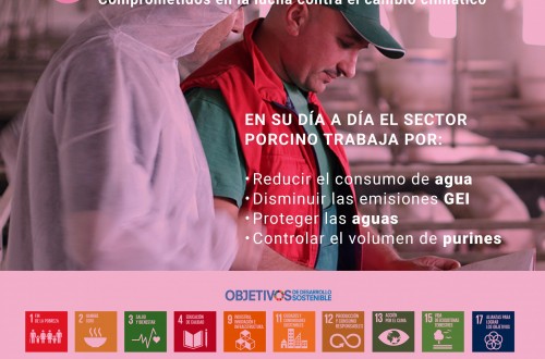El sector porcino reduce en un 38% sus emisiones de metano en los últimos 15 años 