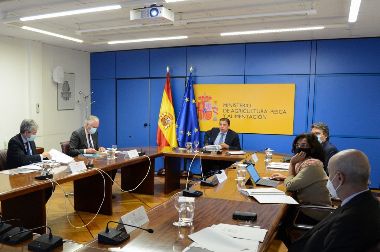 España solicita a la CE la activación de medidas de apoyo para el sector del vacuno de carne