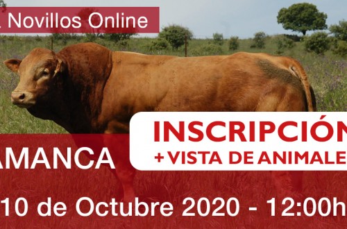 VayaVaca acogerá una subasta nacional de limusín
