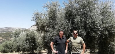 Bernardo Sánchez confía la nutrición de sus olivares a YaraRega