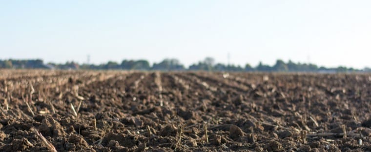 Alltech Crop Science obtiene el registro como biofertilizantes para sus productos Contribute