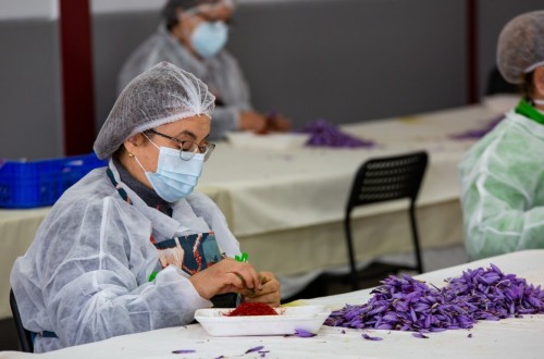 Castilla-La Mancha cuenta ya con la norma que regula la venta directa de productos agrarios “Campo y Alma, directo a tu mesa”