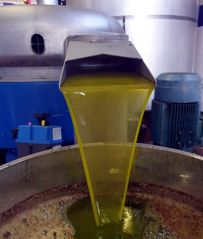 Óptima comercialización de aceite de oliva en el primer mes de campaña 2020/21