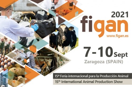 Figan 2021 traslada su celebración a septiembre