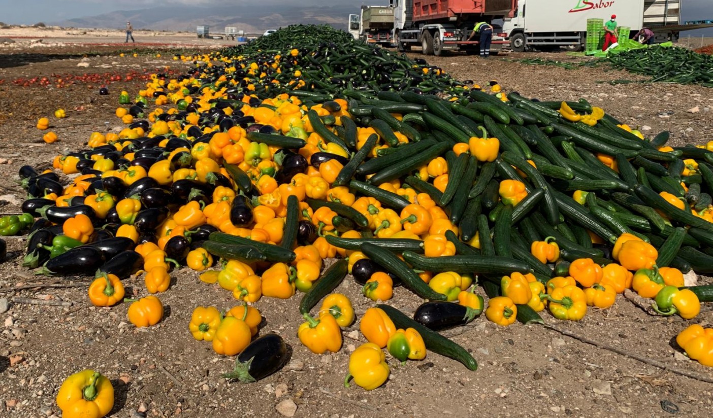 Coexphal destruye productos hortícolas por los bajos precios actuales