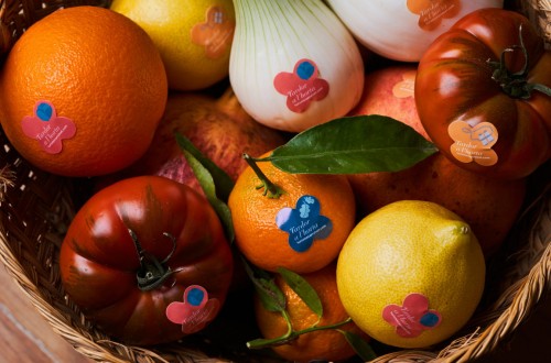 Frutas y hortalizas de temporada promocionarán la huerta valenciana