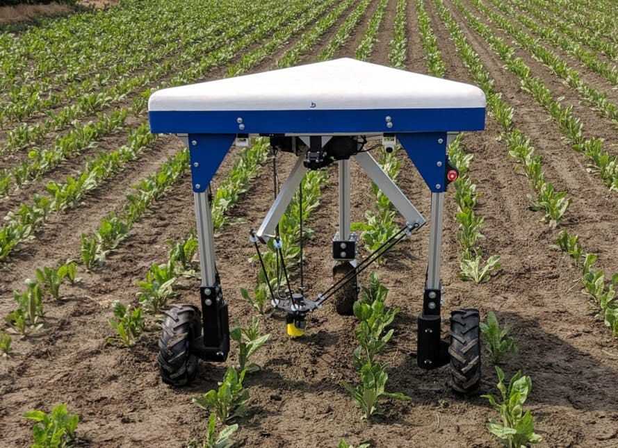 Un robot para eliminar malas hierbas gana el premio del programa EIT Food