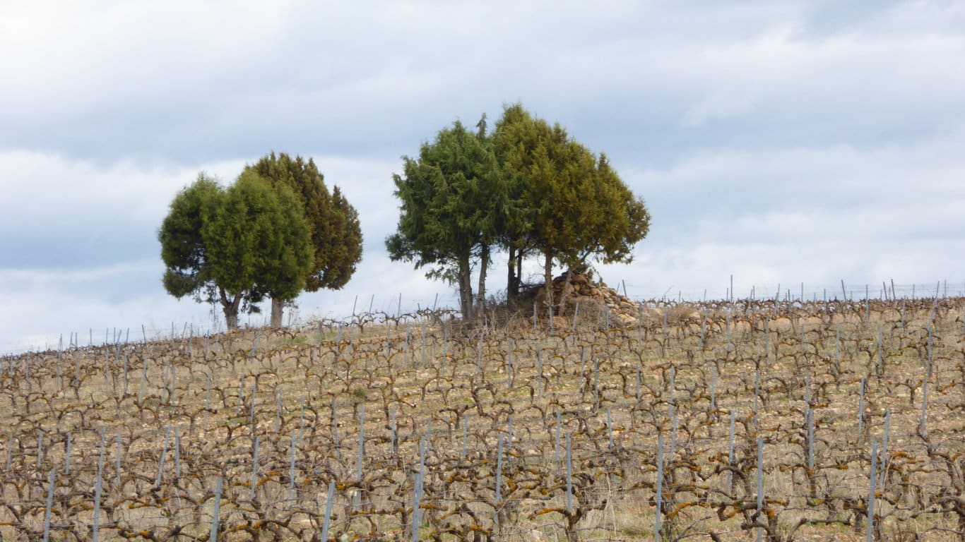 El sector agrario y agroalimentario español percibió 7.514 M€ de pagos PAC en el ejercicio financiero 2020