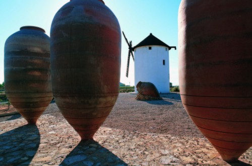 Empresas vitivinícolas castellano-manchegas piden crear una interprofesional regional