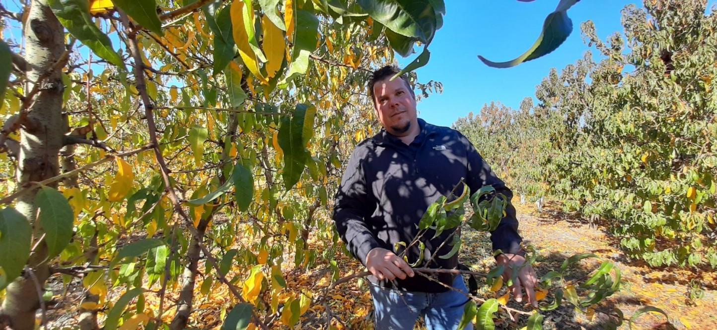 «Los fruticultores leridanos cumplimos la normativa laboral», por Sergi Balué