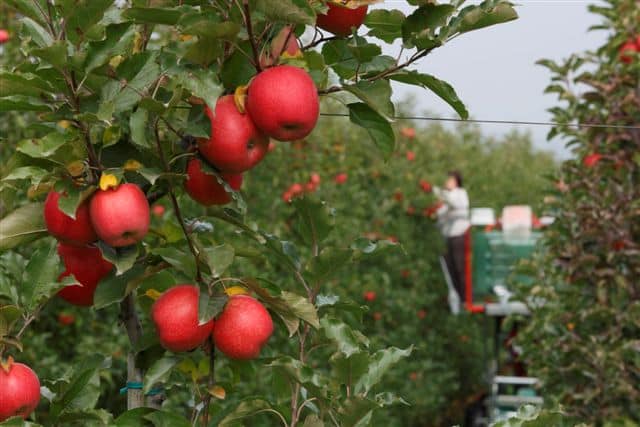 Unión de Uniones alerta del impacto del Pacto Verde en la agricultura europea