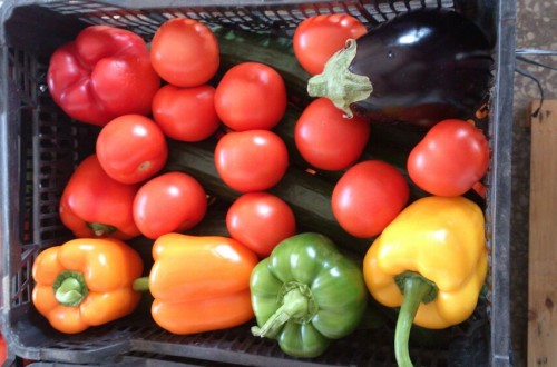 Once empresas de Almería con expediente sancionador por reetiquetado de frutas y hortalizas de Marruecos