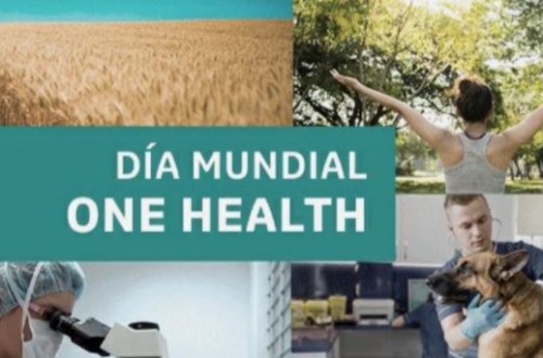 MSD Animal Health pone en marcha el #MovimientoOneHealth
