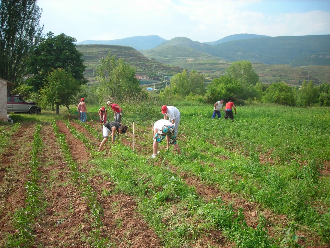 Reforma de la PAC: una oportunidad para reenfocar nuestra política agraria en favor del modelo familiar. Por Joaquín Olona Blasco