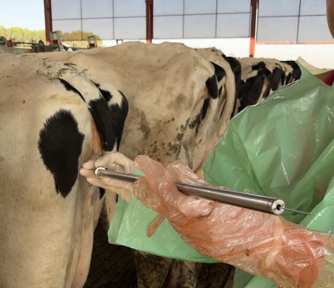 Prevención de gestaciones gemelares en vacas lecheras