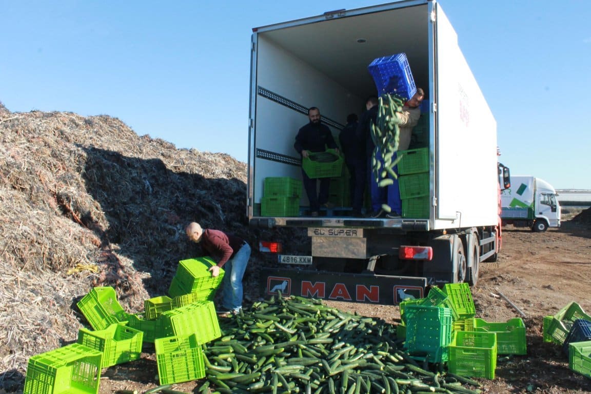 FEPEX pide nuevas medidas de gestión de crisis para el sector hortofrutícola