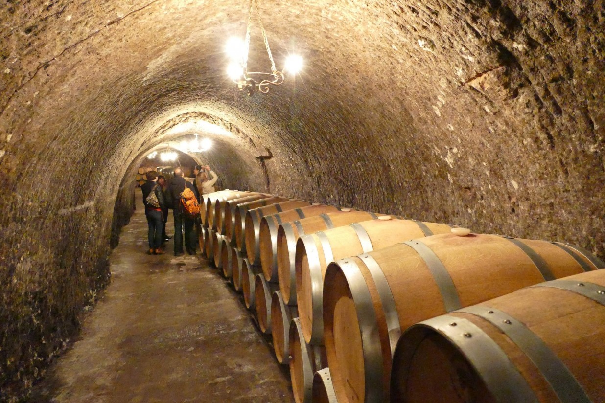 Rutas del Vino de España prepara su estrategia para 2021