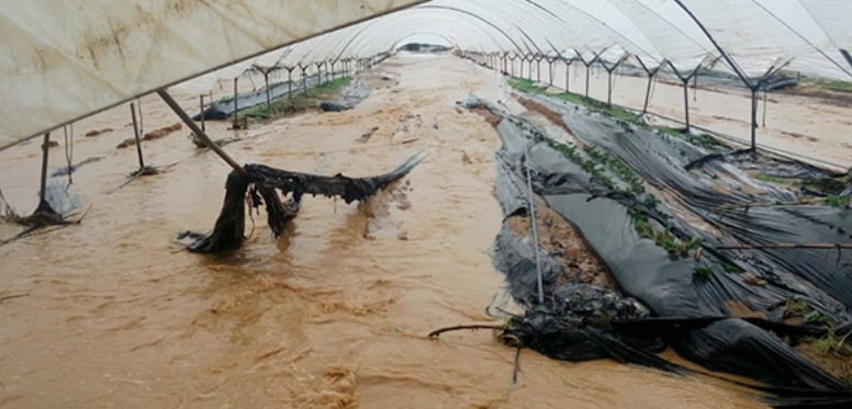 Visto bueno al 42º Plan de Seguros Agrarios financiado con 256,5 M€ para 2021