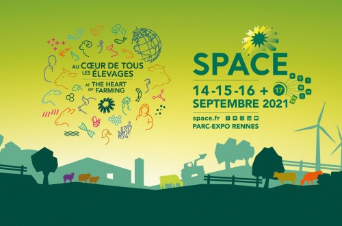 Space regresa con una nueva fórmula para 2021