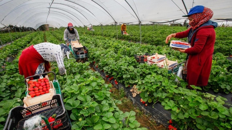 El descenso del paro registrado en Agricultura fue el menor desde 2009