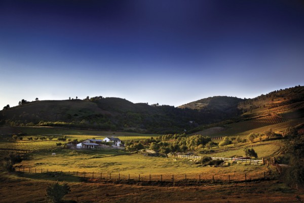 LB_Valdetruchas (FILEminimizer) Unión de Uniones lamenta el recorte de los límites máximos presupuestarias de la ayudas directas de la PAC 2021 y 2022