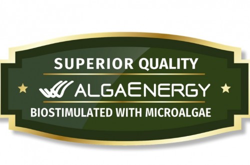 AlgaEnergy desarrolla un sello que certifica la máxima calidad de los productos finales