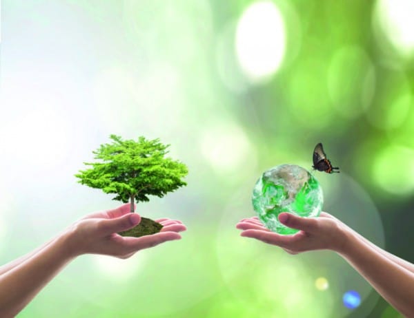 Afepasa recibe la medalla de oro a la Sostenibilidad de Ecovadis