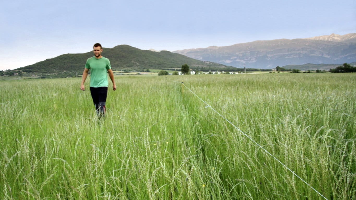 Estudio EIT Food: más del 80% de los consumidores españoles confían en los agricultores