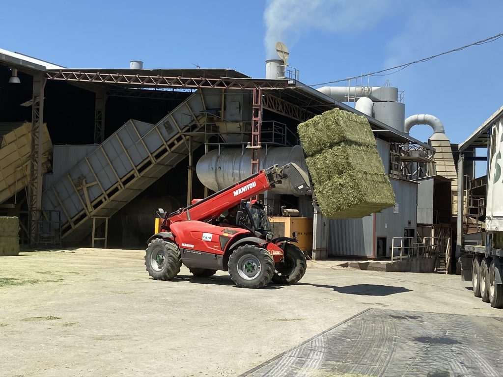 La producción estimada de alfalfa deshidratada se situará en 1,45 Mt en la campaña 2020/21