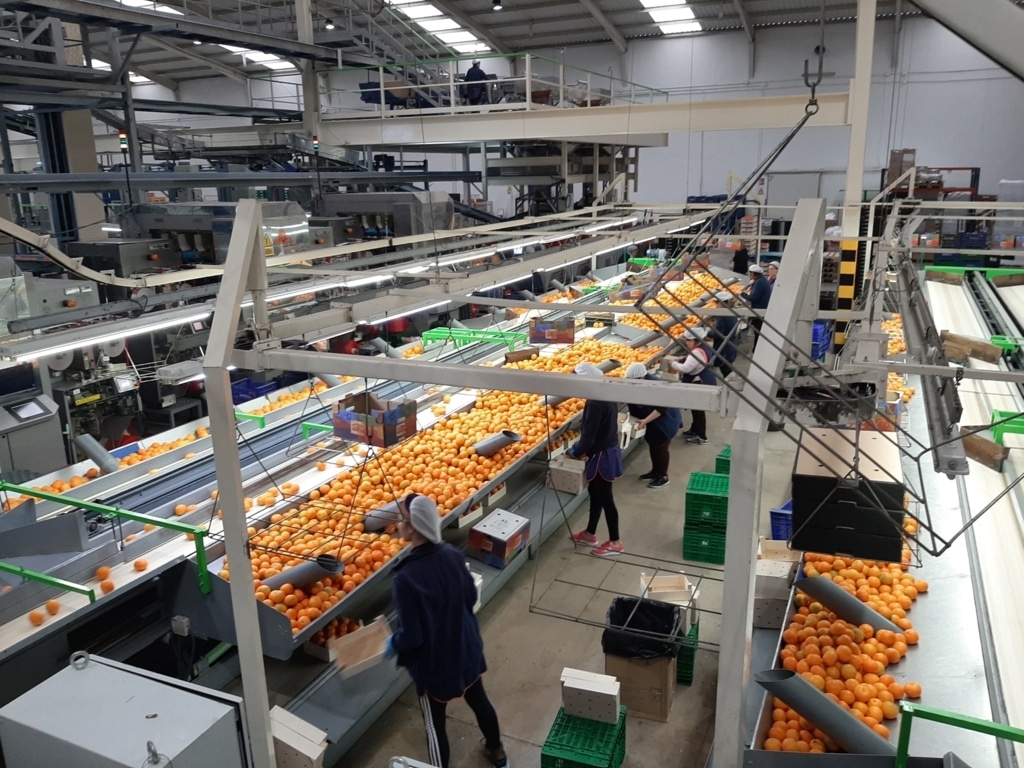 Cajamar observa una clara resiliencia del sector agroalimentario español frente a la crisis de Covid-19