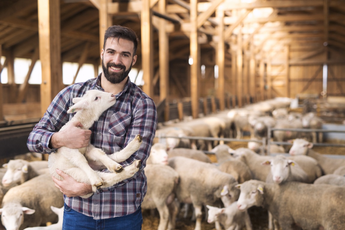 Los veterinarios reivindican su principal papel en la gestión del bienestar animal