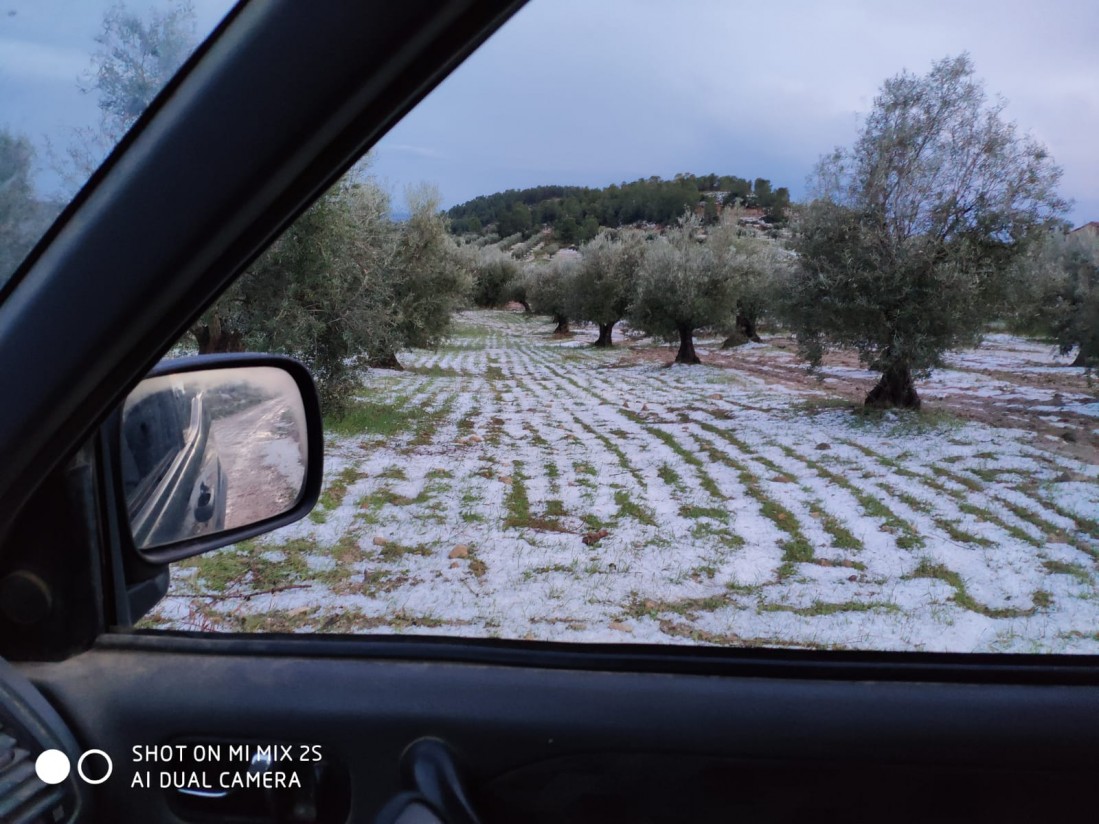 Las indemnizaciones por siniestralidad, muy inferiores a las primas pagadas por los seguros agrarios en 2020