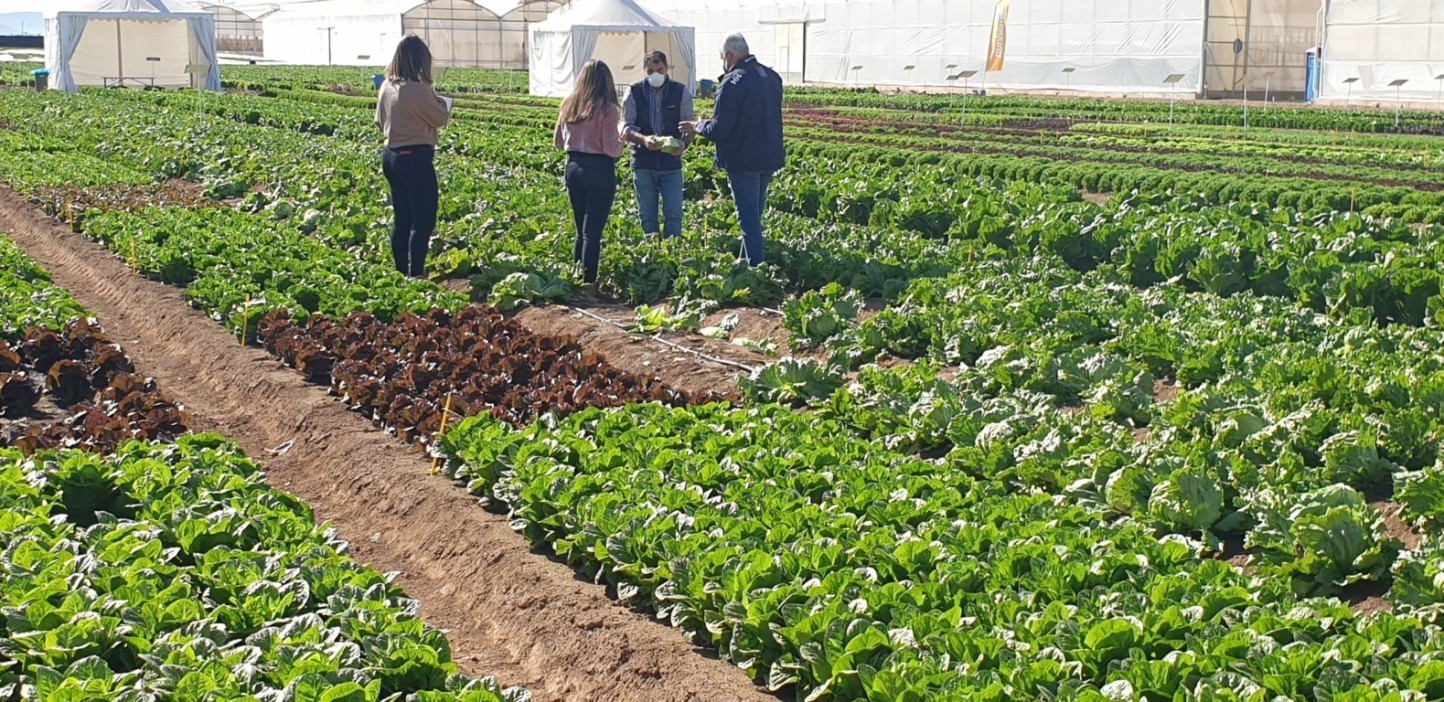 Murcia: Jornadas de puertas abiertas de los centros de investigación