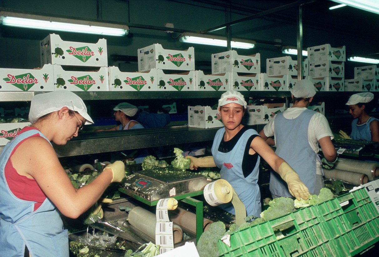 El paro registrado en Agricultura aumentó en cerca de 6.200 personas en febrero